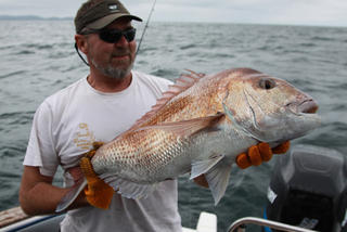 Steve - nice snapper 11kg