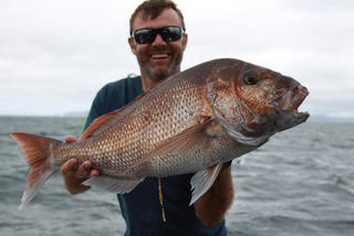 Paul - nice snapper