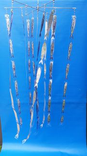 Competion holographic strip fish