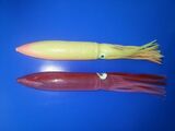 Hollow Soft Shell Squid
